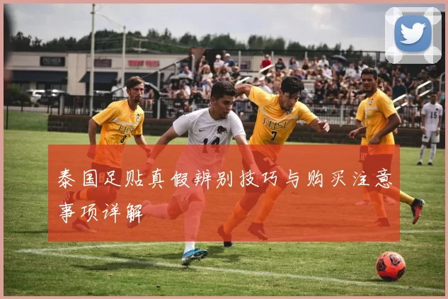 泰国足贴真假辨别技巧与购买注意事项详解