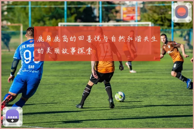 鹿角鹿岛的田喜悦与自然和谐共生的美丽故事探索