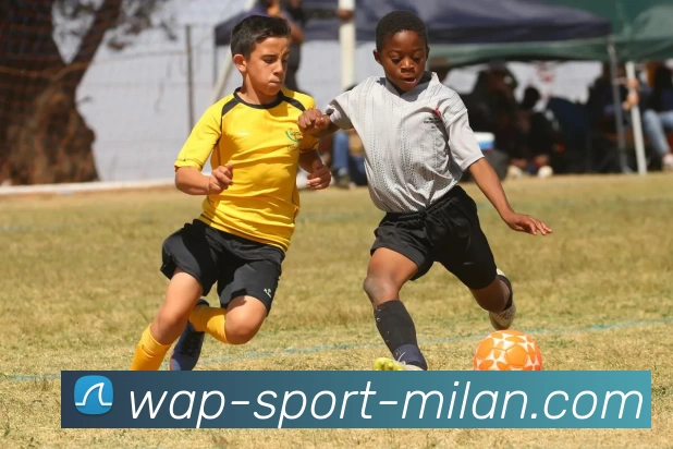 米兰官网APP 体育赛事宣传图